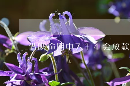 借呗逾期中714会放款吗