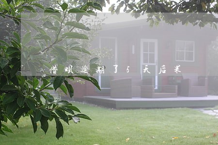 借呗逾期了5天后果 借呗逾期了5天后果