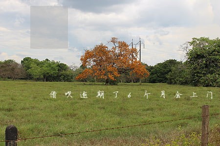 借呗逾期了6个月会上门催收吗 借呗逾期了6个月会上门催收吗