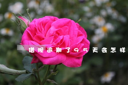 借呗逾期了95天会怎样
