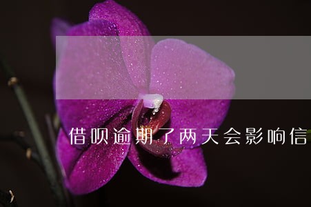 借呗逾期了两天会影响信用吗 借呗逾期了两天会影响信用吗