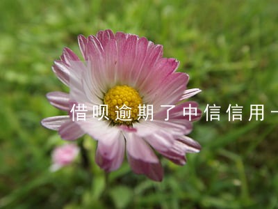 借呗逾期了中信信用卡不能分期