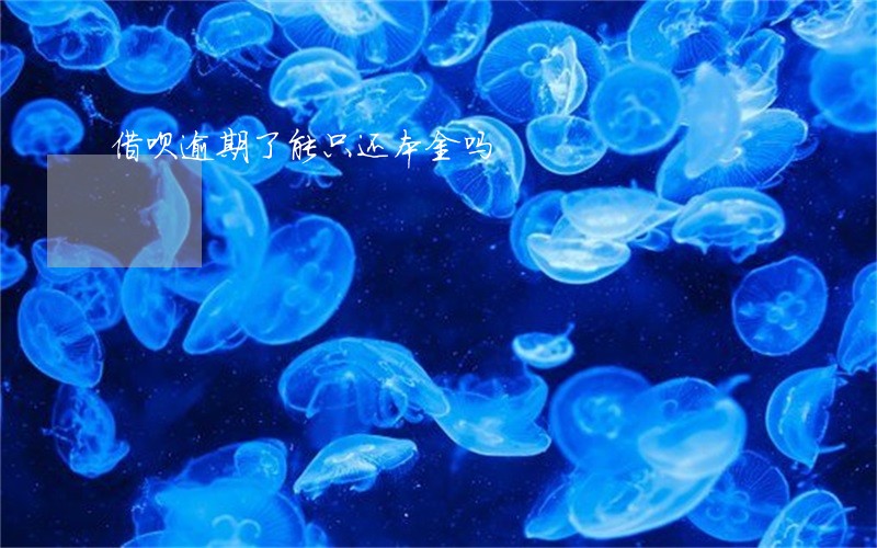 借呗逾期了能只还本金吗 借呗逾期了能只还本金吗
