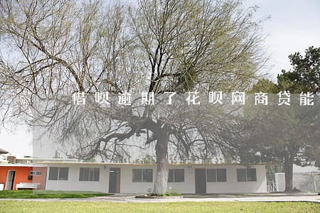 借呗逾期了花呗网商贷能用吗 借呗逾期了花呗网商贷能用吗