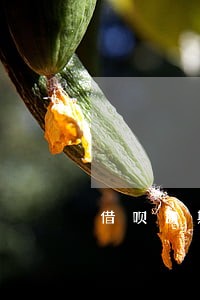 借呗逾期了还能做网贷吗 借呗逾期了还能做网贷吗