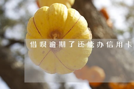 借呗逾期了还能办信用卡 借呗逾期了还能办信用卡