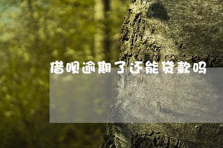 借呗逾期了还能贷款吗 借呗逾期了还能贷款吗