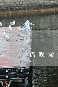 借呗逾期会不会影响其它信用卡 借呗逾期会不会影响其它信用卡