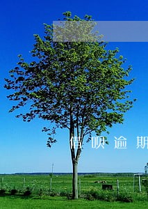借呗逾期会影响个人信用 借呗逾期会影响个人信用