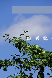 借呗逾期会影响别人的网贷吗 借呗逾期会影响别人的网贷吗