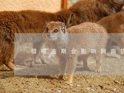 借呗逾期会影响网商贷么