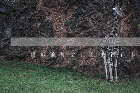 借呗逾期会扣别的银行卡里的钱吗 借呗逾期会扣别的银行卡里的钱吗
