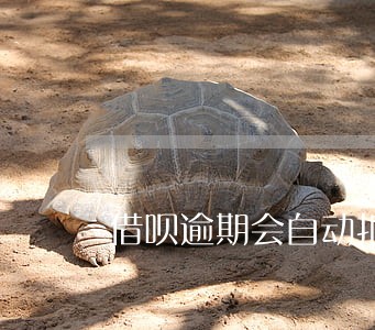 借呗逾期会自动扣银行卡吗 借呗逾期会自动扣银行卡吗