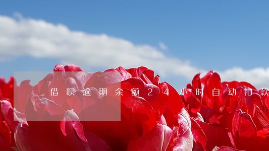 借呗逾期余额24小时自动扣款吗 借呗逾期余额24小时自动扣款吗