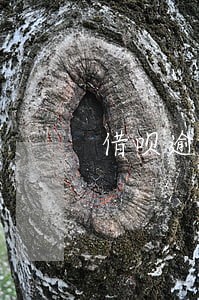 借呗逾期信用分一下扣90多分 借呗逾期信用分一下扣90多分