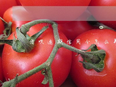 借呗逾期信用分怎么弄上来 借呗逾期信用分怎么弄上来