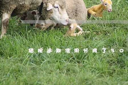 借呗逾期信用分降了300 借呗逾期信用分降了300