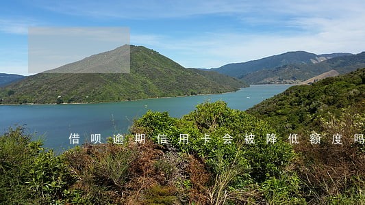 借呗逾期信用卡会被降低额度吗 借呗逾期信用卡会被降低额度吗