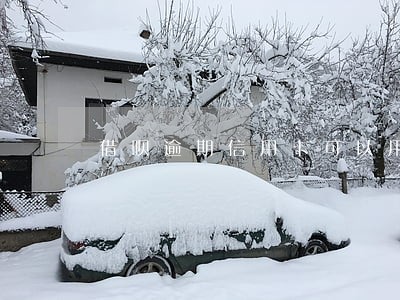 借呗逾期信用卡可以用吗 借呗逾期信用卡可以用吗