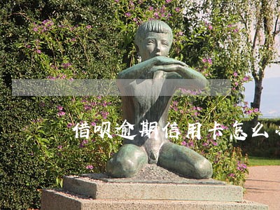 借呗逾期信用卡怎么办 借呗逾期信用卡怎么办