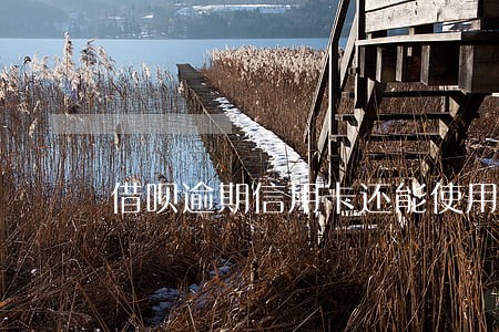 借呗逾期信用卡还能使用吗 借呗逾期信用卡还能使用吗