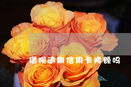 借呗逾期信用卡降额吗