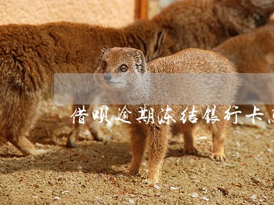 借呗逾期冻结银行卡怎么办 借呗逾期冻结银行卡怎么办