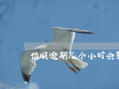 借呗逾期几个小时会影响信用 借呗逾期几个小时会影响信用