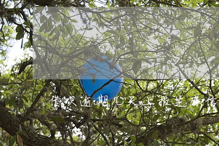 借呗逾期几天上报芝麻信用