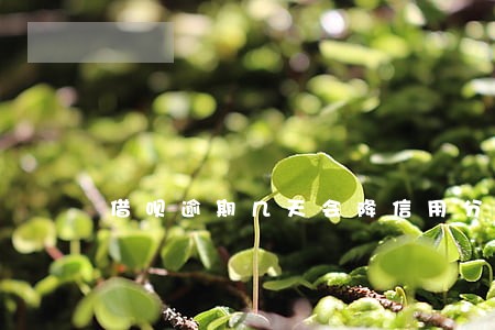 借呗逾期几天会降信用分 借呗逾期几天会降信用分