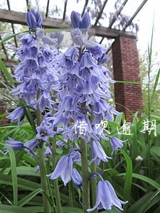 借呗逾期几天影响信用 借呗逾期几天影响信用