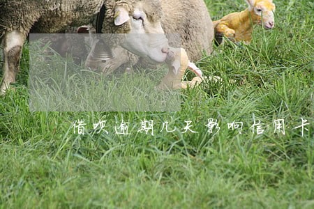 借呗逾期几天影响信用卡 借呗逾期几天影响信用卡
