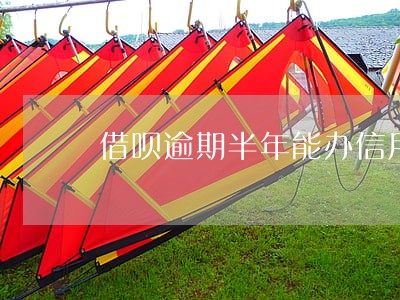 借呗逾期半年能办信用卡吗 借呗逾期半年能办信用卡吗
