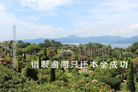 借呗逾期只还本金成功 借呗逾期只还本金成功