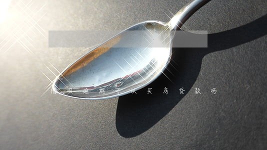 借呗逾期可以买房贷款吗 借呗逾期可以买房贷款吗