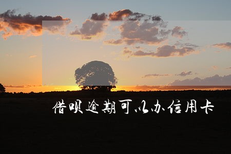 借呗逾期可以办信用卡