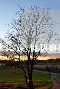 借呗逾期可以协商吗只还本金吗 借呗逾期可以协商吗只还本金吗