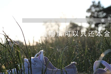 借呗逾期后可以只还本金吗 借呗逾期后可以只还本金吗