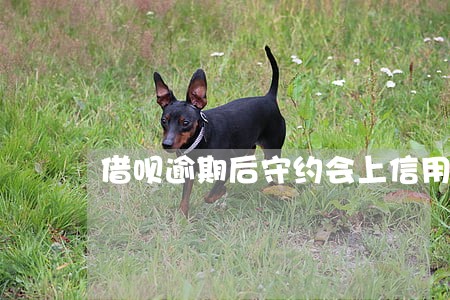 借呗逾期后守约会上信用么