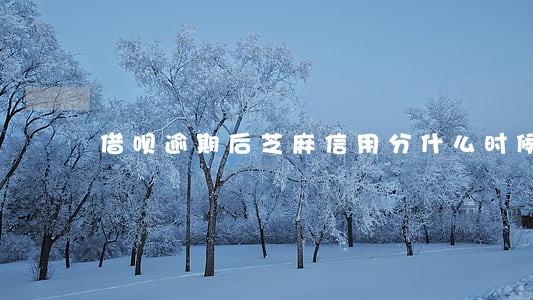 借呗逾期后芝麻信用分什么时候涨 借呗逾期后芝麻信用分什么时候涨