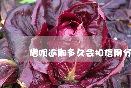 借呗逾期多久会扣信用分 借呗逾期多久会扣信用分