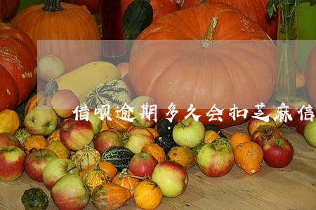 借呗逾期多久会扣芝麻信用分 借呗逾期多久会扣芝麻信用分