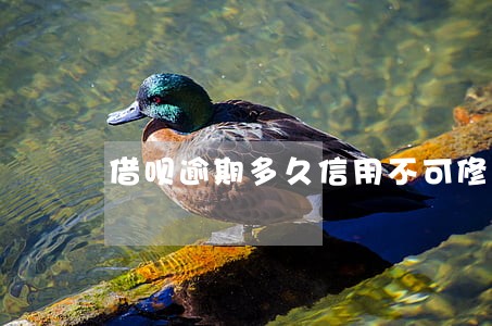 借呗逾期多久信用不可修复 借呗逾期多久信用不可修复