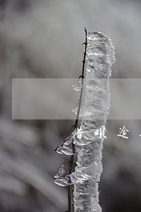 借呗逾期多少会影响信用卡吗
