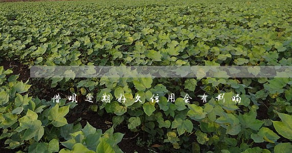 借呗逾期好久信用会有影响 借呗逾期好久信用会有影响
