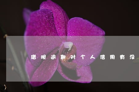 借呗逾期对个人信用有没有影响 借呗逾期对个人信用有没有影响