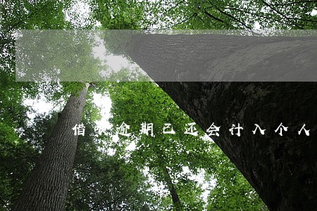 借呗逾期已还会计入个人信用吗 借呗逾期已还会计入个人信用吗
