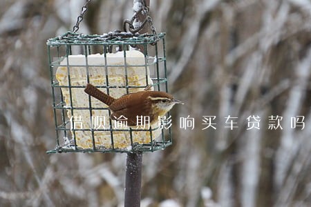 借呗逾期影响买车贷款吗 借呗逾期影响买车贷款吗