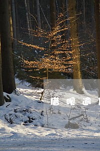 借呗逾期影响别的网贷么 借呗逾期影响别的网贷么