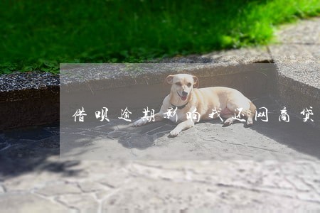 借呗逾期影响我还网商贷吗 借呗逾期影响我还网商贷吗